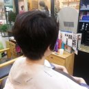 최성화헤어 네이버블로그