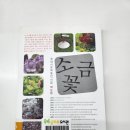 소나무언덕3호도서관 | 25.08.30 송파구(3) - 송파글마루도서관, 송파위례도서관, 거마도서관, 소나무언덕3호도서관