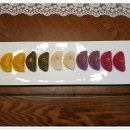 오색당구장 이미지