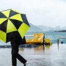 태풍센터근처 이미지