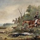 도그인 그레이 이미지