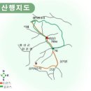 선
