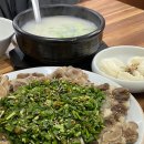창원 현지인맛집 몸보신으로 좋은 목민곰탕 내돈내산 후기
