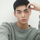 김수겸 카카오 검색결과