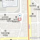 지세스성형외과의원 이미지