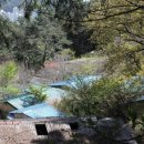 괴정2동-3 이미지