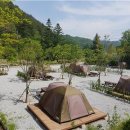 솔향가득 봉화캠핑장 이미지