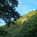 BN886 | 뷰 좋은 양산 배내골 단체 펜션 추천, 'BN886' A1호, B1호 숙박 후기