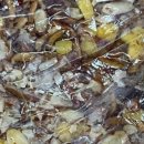 대복떡집 이미지