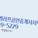 써니공인중개사사무소 이미지