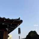 김강심 칼국수 이미지