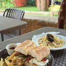 피노이레스토랑 | 27살 여자 보홀 블루프리덤 앱니어 AIDA2 자격증 교육과정 생생후기 1탄 (내돈내산)