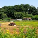 적가경로당 이미지