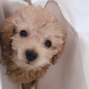 메이의산책 이미지