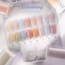 그루밍시즌 이미지