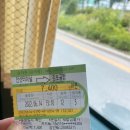 신지천 | [제주] 나홀로 제주 뚜벅이 1일차 : 김포공항 시간때우기/농땡이 연구소/동문시장