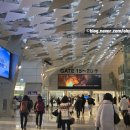 우정트레킹여행사
