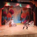 쇠부리체육센터 공연장 | 공연예술씨앗과 함께한 초록지구지키기 2탄 불씨야, 내 숲을 지켜줘!공연후기