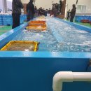 구조라위판장 이미지