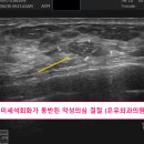 은유외과의원 이미지