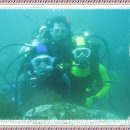 월정초등학교 이미지