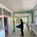 둔포초등학교 이미지