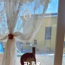 팝콘아이스 이미지