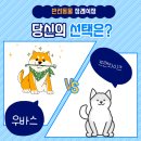 대전반려동물장례식장 추천 _ 프랜차이즈보다 우바스가 좋은이유
