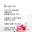 외갓집밥