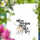 가야로공인중개사사무소 이미지