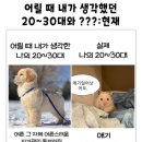 지구의 자전 이미지