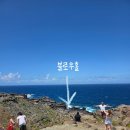 테디스베어
