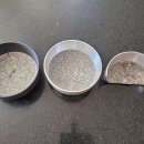 뚝배기추어탕 이미지