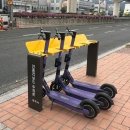 주차10 경남매일