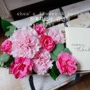 SHES CAFE 이미지