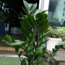 착한7주유소 이미지