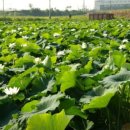 연자농장 이미지