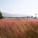 낙동강자전거길6 이미지