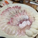 황금오징어 활어회센터2 이미지