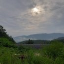 죽엽산농장 이미지