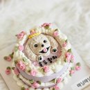 마닐마닐 이미지