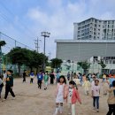 장천초교 이미지