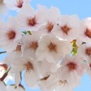 통인한의원 이미지