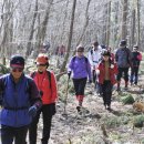 제주도산악연맹 생태문화탐사 화제 이미지