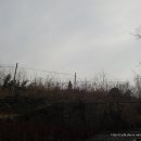 용암3리 할머니 Daum카페