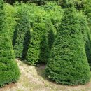 신목농장 이미지