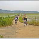 옥산리농로 이미지