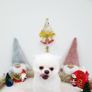 몽개몽개 이미지