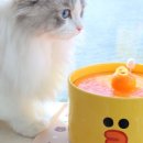 코코프렌즈 이미지