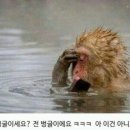 티어하우스 이미지